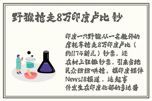 速度与激情**劲爆